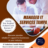 Managed-IT-Services-Tampa495dc56a3844a3a7