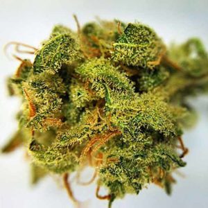 Marijuana-Online-Store4c7a064ab4684cac.jpg