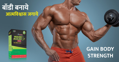 Mass Buildo is formulated with herbal extracts and high-quality proteins for assisting slow and Hard Gainers in gaining Muscles. The Ayurvedic formula in Mass Buildo is especially for those who are naturally skinny and find it difficult to gain weight. It gives you all the essential nutrients and proteins that will help you with muscle and weight gain.

For more queries call us on: +91 95581 28414
Email I'd: info@ayurvedichealthcare.in
Url: www.ayurvedichealthcare.in