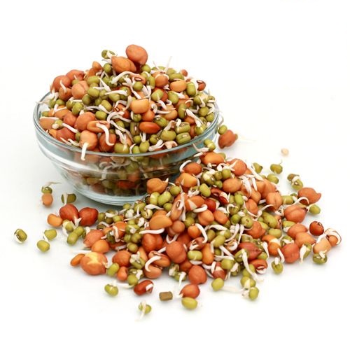 Mixed-Gm-Sprouts2e420f10ca12c35e.jpg