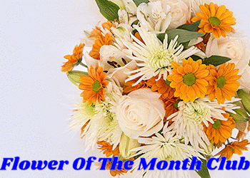 Monthly-Flower-Delivery.gif