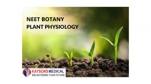 NEET-botany-plant-physiology.jpg