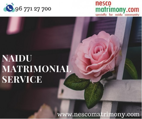 Naidu-Matrimonial-Service.jpg