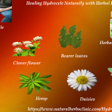 Natural-Healing-Process-of-Hydrocele