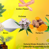 Natural-Home-Remedies-to-Treat-the-Itchy-Lichen-Planus