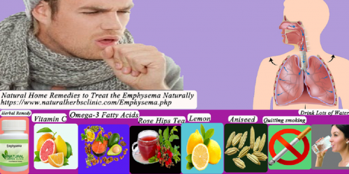 Vitamin C is an authoritative anti-oxidant and is the most excellent component for Natural Remedies for Emphysema Natural Treatment that can get healthier lung function.... https://read.cash/@mariabrooklyn/7-natural-home-remedies-to-treat-the-emphysema-naturally-6057843b