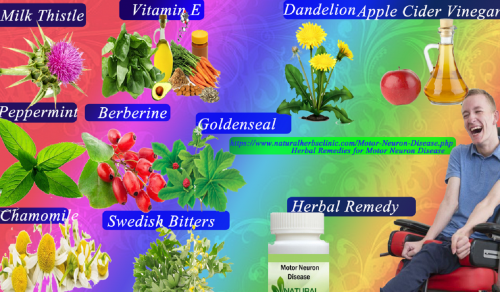 Berberine is a tremendously valuable herbal component used in Natural Remedies for Motor Neuron Diseases without any side effects... https://www.naturalherbsclinic.com/blog/natural-remedies-for-motor-neuron-diseases/