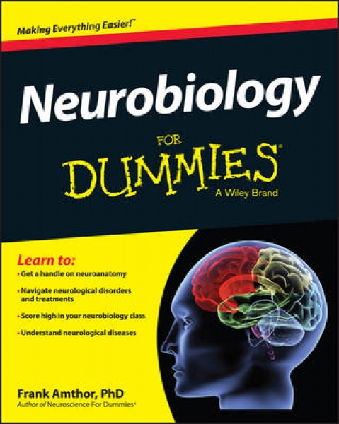 Neurobiology-For-Dummies.jpg