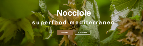 Le nostre nocciole vengono accuratamente selezionate e calibrate. Mantenendo la nocciola nel suo guscio facciamo sì che le sue proprietà nutritive e il suo buon sapore non vengano dispersi.
Visitateci:- http://paranobio.com/