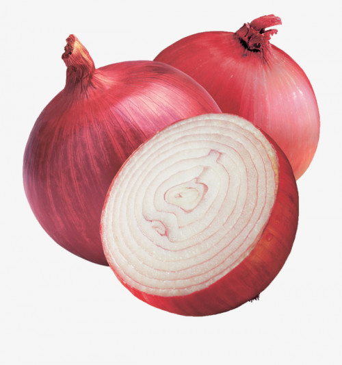 Onion-Premium55e1ca64b57a4784.jpg