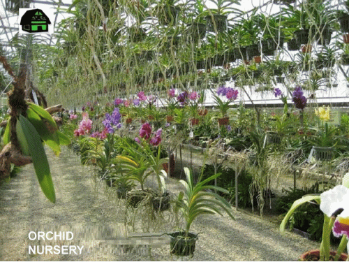 Green Barn Orchid Supplies, it is the best orchid nursery in the USA. We provide verity of gardening products at an affordable price to our customers. Here you can find everything to grow your beautiful orchids. Shop online here: https://www.greenbarnorchid.com/