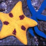 PERSPECTIVE-DOWN_-LONG