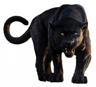 Panther-PNG-Clipart.png