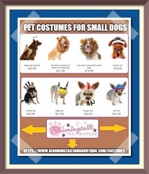 Pet-Costumes-for-Small-Dogs-bloomingtailsdogboutique.jpg
