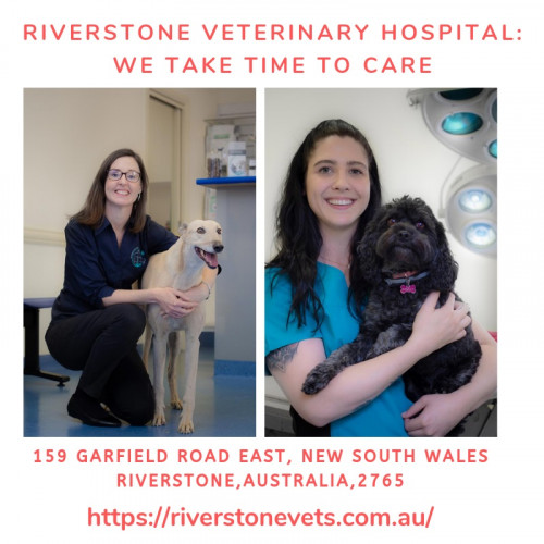 Pet-Vaccinations---Riverstonevets72485b98f95c2ba0.jpg