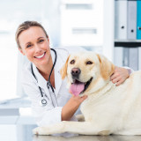 Pet-health-care---Riverstonevets9cb348e262cc6131