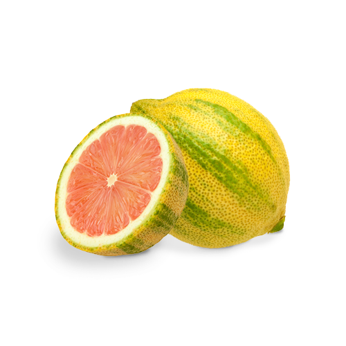 Pink-Lemon.png