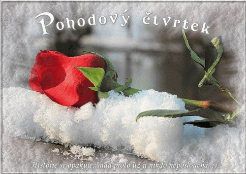 Pohodovy-ctvrtek5408966f03392e92.gif