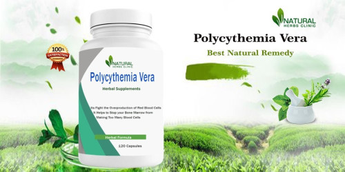 Making certain lifestyle adjustments can undoubtedly be helpful if you’re looking for Polycythemia Vera Natural Treatments in the interim. https://resistancephl.com/polycythemia-vera-understanding-the-benefits-of-natural-treatments/