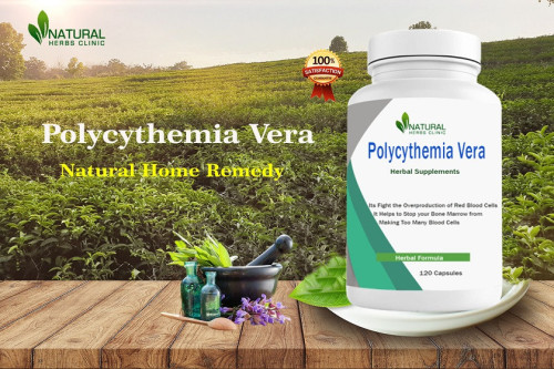 Natural Polycythemia Vera Treatments can assist you in controlling your symptoms and enhancing your quality of life. Take control of your health by starting to put this straightforward guidance into practice right away. https://naturalherbsclinic.stck.me/post/70174/Polycythemia-Vera-How-to-Deal-with-Skin-Issues-with-Natural-Remedies