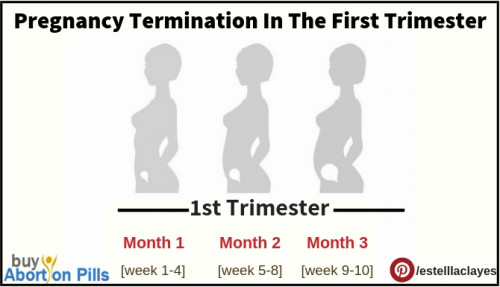 Pregnancy-termination-in-the-first-trimester.jpg