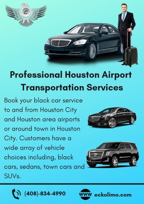 Professional-Houston-Airport-Transportation-Services.png