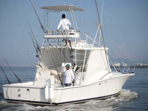 Book Puerto Vallarta Fishing Charters Online Today! Top Rates, Fast, Easy & Secure. Modern and fully equipped fishing charters in Puerto Vallarta.
https://fishingareus.com/
