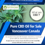 Pure-CBD-Oil-for-Sale-Vancouver-Canada