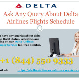 Query-About-Delta-Airlines-Flights-Status