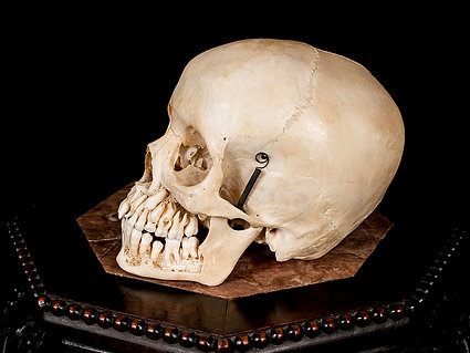 Real-Human-Skull-for-Sale.jpg