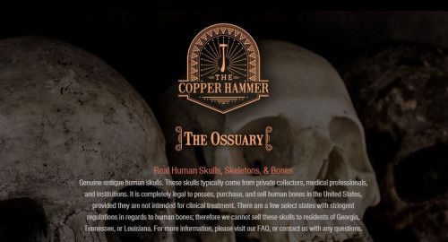 We sell REAL human skulls, skeletons, bones, Tibetan kapalas, as well as other oddities and curiosities. Call us (626) 710-4073and email us  info@thecopperhammer.com.
We sell REAL human skulls, skeletons, bones, Tibetan kapalas, as well as other oddities and curiosities. Call us (626) 710-4073and email us  info@thecopperhammer.com & Visit at: https://www.thecopperhammer.com/the-ossuary