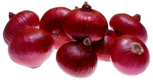 Red-Onion.jpg