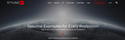 Resume-Examples-online.png