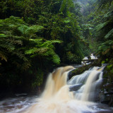 River-in-Rwandas-Nyungwe-Forest-National-Park-Rainforest