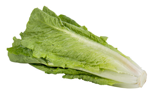 Romaine-Lettuce.jpg