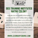 SEO-Training-Institutes-Nathu-Colony