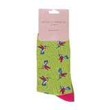 SPA-ANI-1-Hummingbirds-Olivefb3bafe955369080