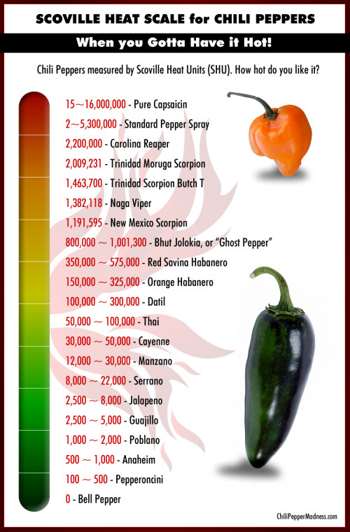 Scoville Scale Chili Peppers List Hottest to Mildest