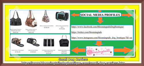 Find the best selection of dog carriers for small dogs here at Bloomingtails Dog Boutique. For more information visit our website and order today.   https://bit.ly/3ZLsYGF