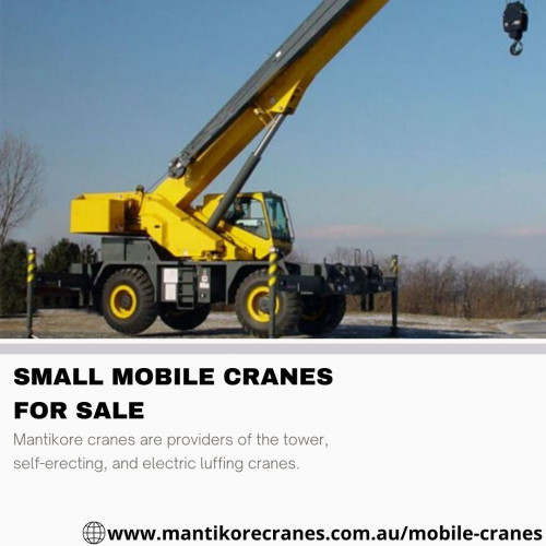 Small-Mobile-Cranes-For-Sale-3.jpg