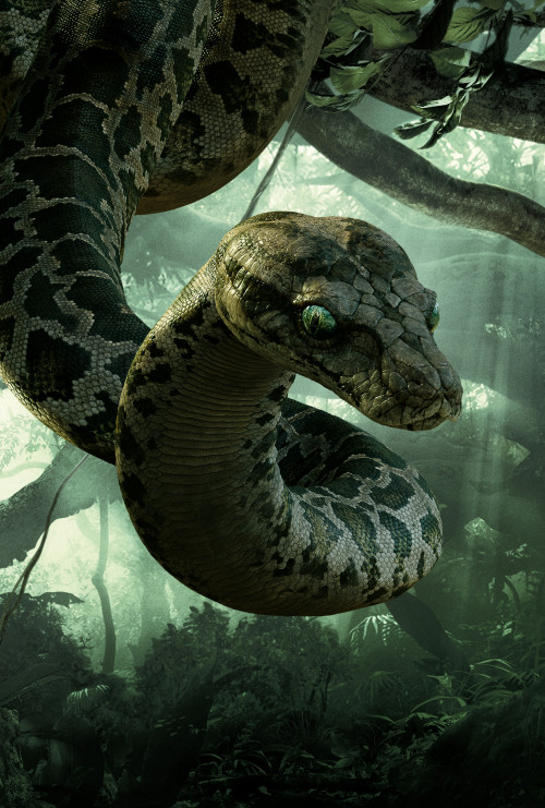 Snakes The Jungle Book 2016 Kaa 536802 4861x7200