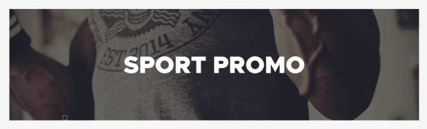 Sport-Promo-Small.jpg