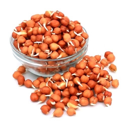 Sprouts-Channa.jpg