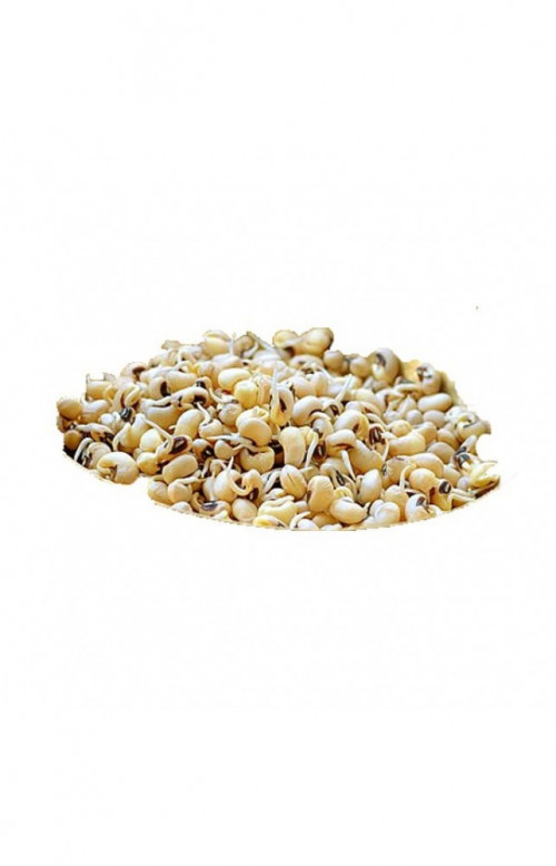 Sprouts-Cowpea.jpg