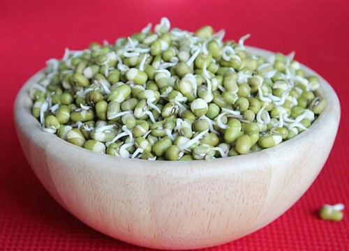 Sprouts-Green-Gram.jpg