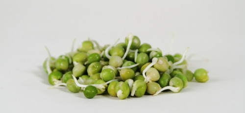 Sprouts-Greenpeas.jpg