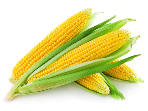 Sweet-Corn.jpg