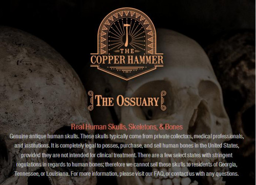 We sell REAL human skulls, skeletons, bones, Tibetan kapalas, as well as other oddities and curiosities! Visit at: https://www.thecopperhammer.com/the-ossuary