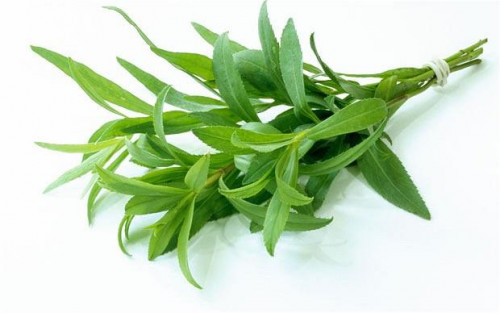 Tarragon.jpg