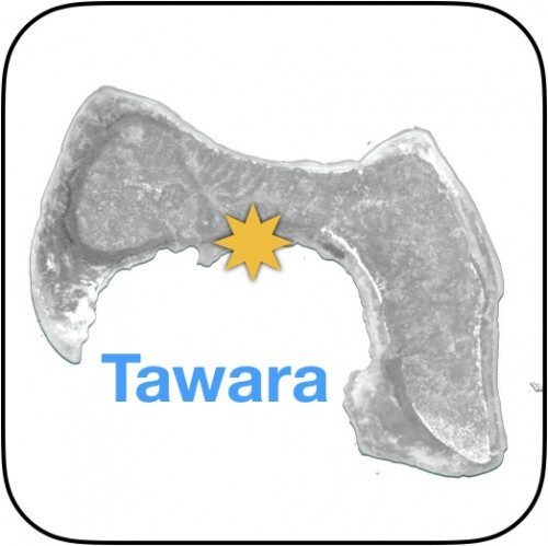 Tawara map icon